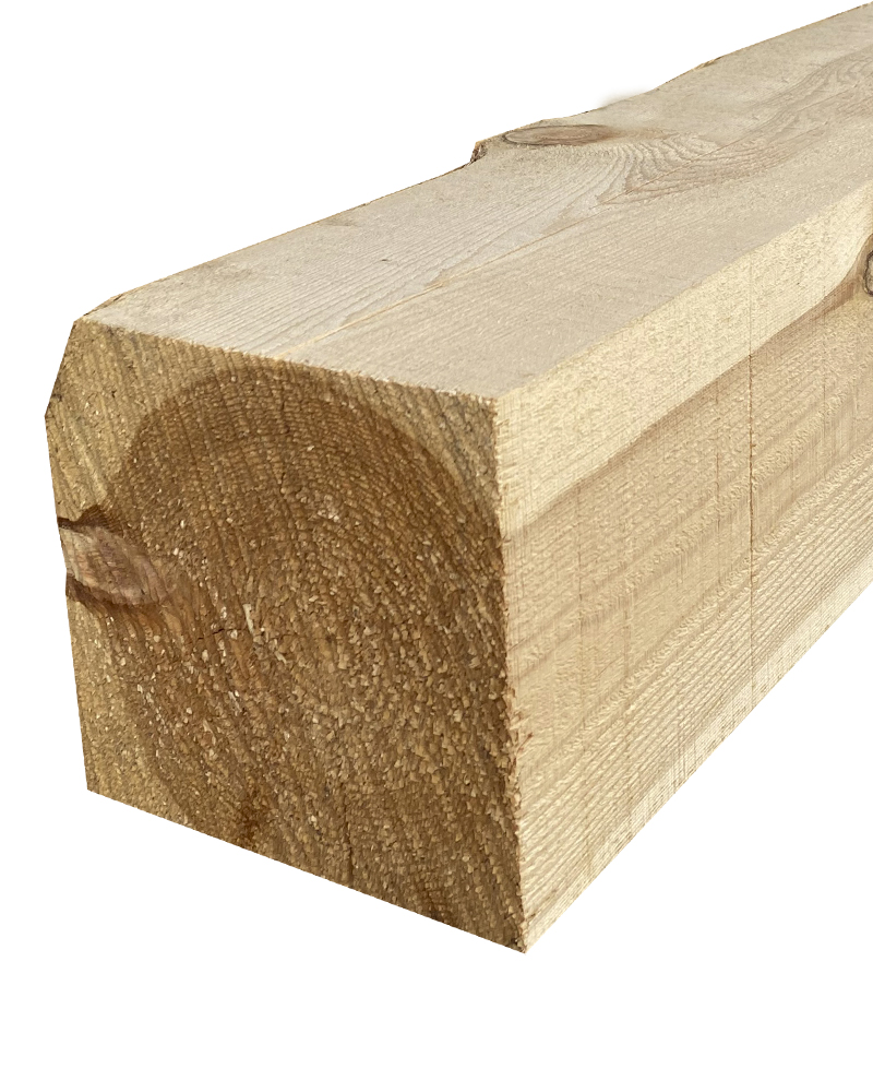 Pino Soria Burgos C22 2 a 4,5m