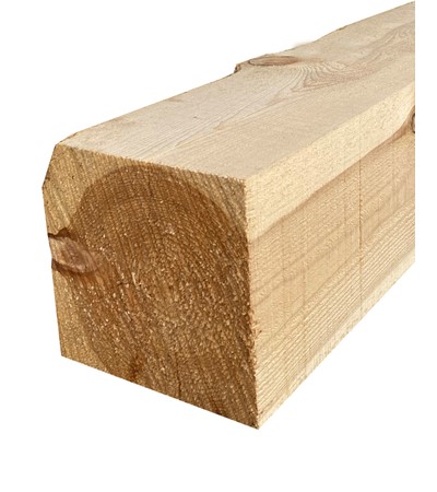 Pino Soria Burgos C22 2 a 4,5m