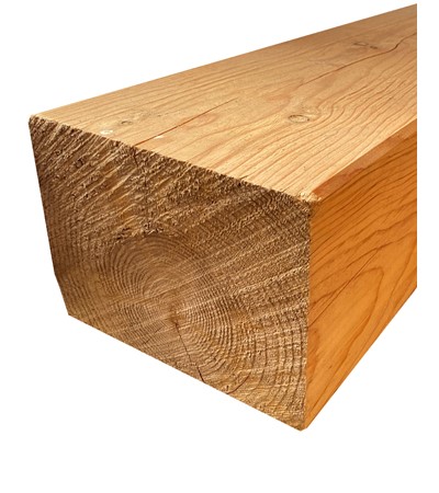 Pino Soria Burgos C22 6 a 6,5m
