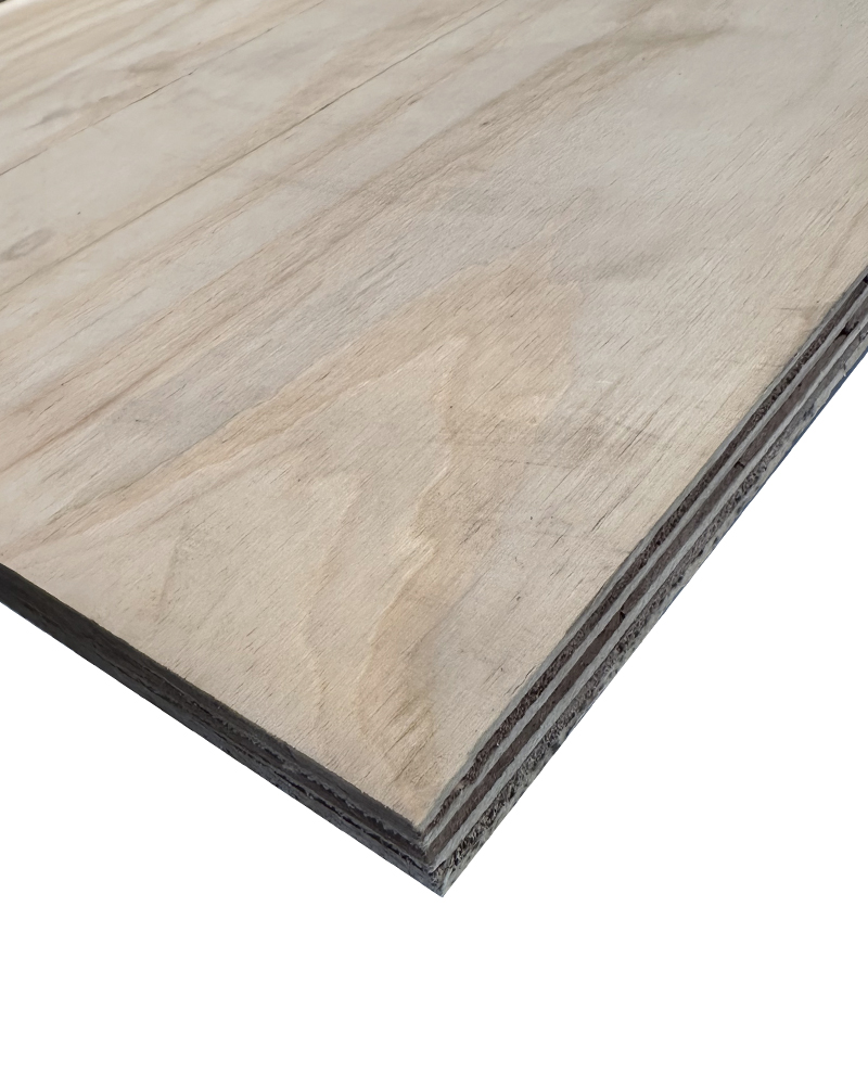 Contrachapado fenólico Pino-Eucalipto B/C