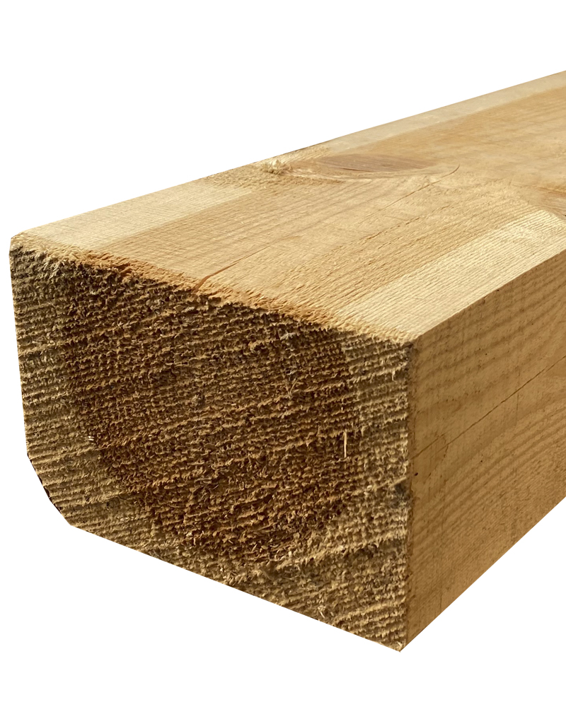 Pino Soria Burgos C22 7 a 7,5m