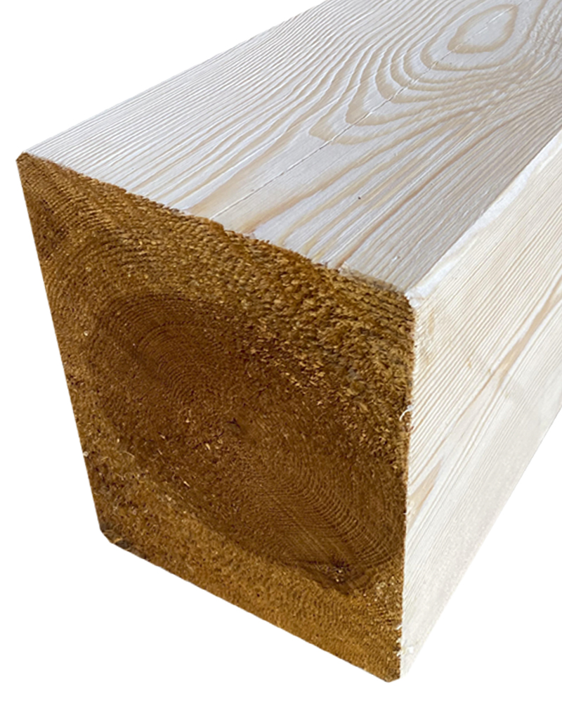 Pino Soria Burgos C22 9 a 10m