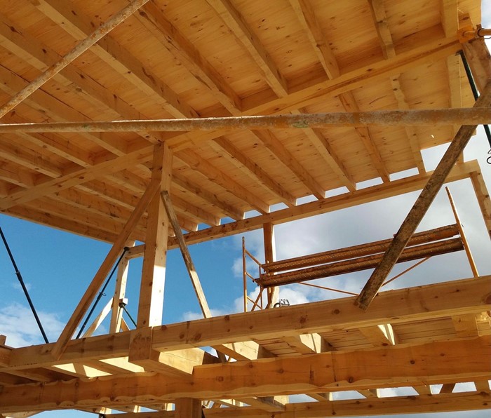 Casa de paja en San Medel